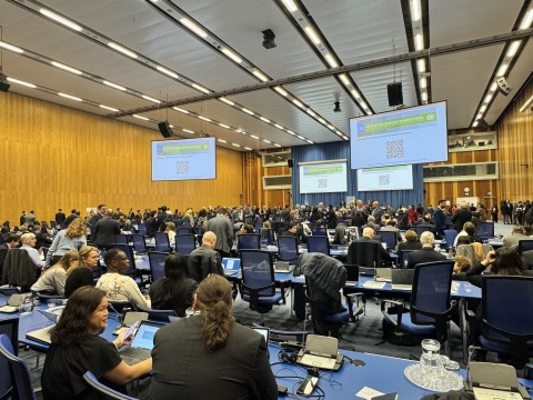 68-й зал пленарных заседаний CND, 14 марта 2025 года Вид на зал пленарных заседаний 68-й сессии Комиссии по наркотическим средствам в Вене, Австрия, 14 марта 2025 года.