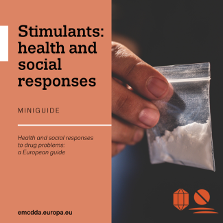 EMCDDA Miniguide